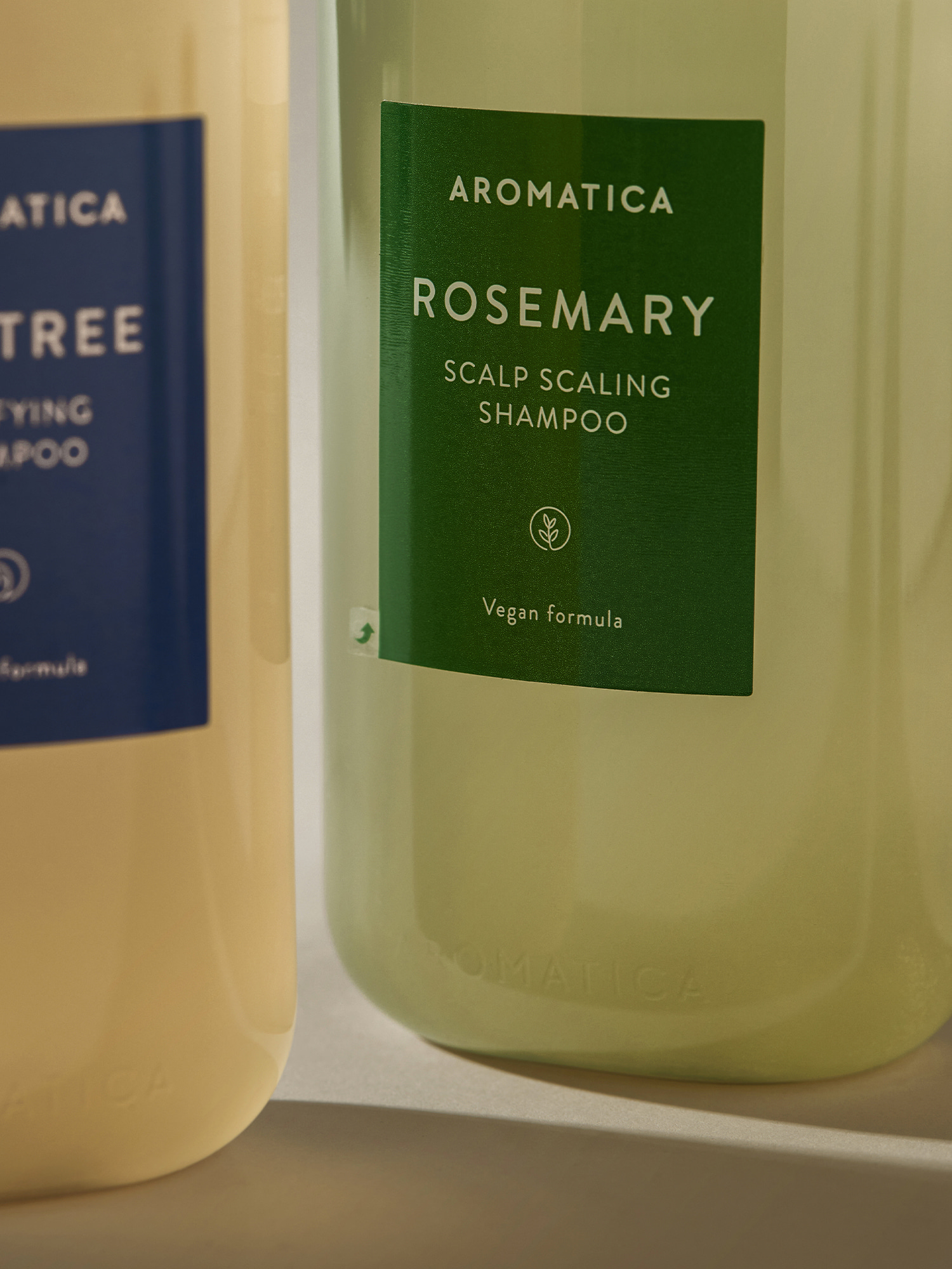 Scalp Scaling Shampoo, Rosemary, 13.5 fl oz (400 ml), Aromatica 
